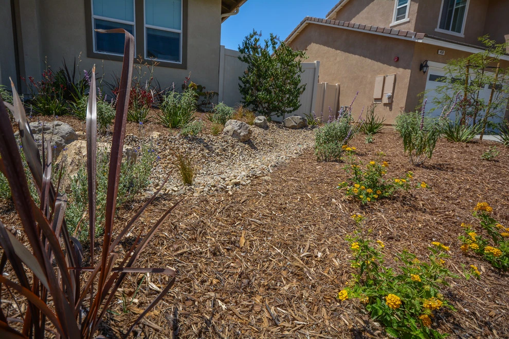 Drought Friendly in Fillmore by Scarlett's Landscape, Inc. - Photo 11