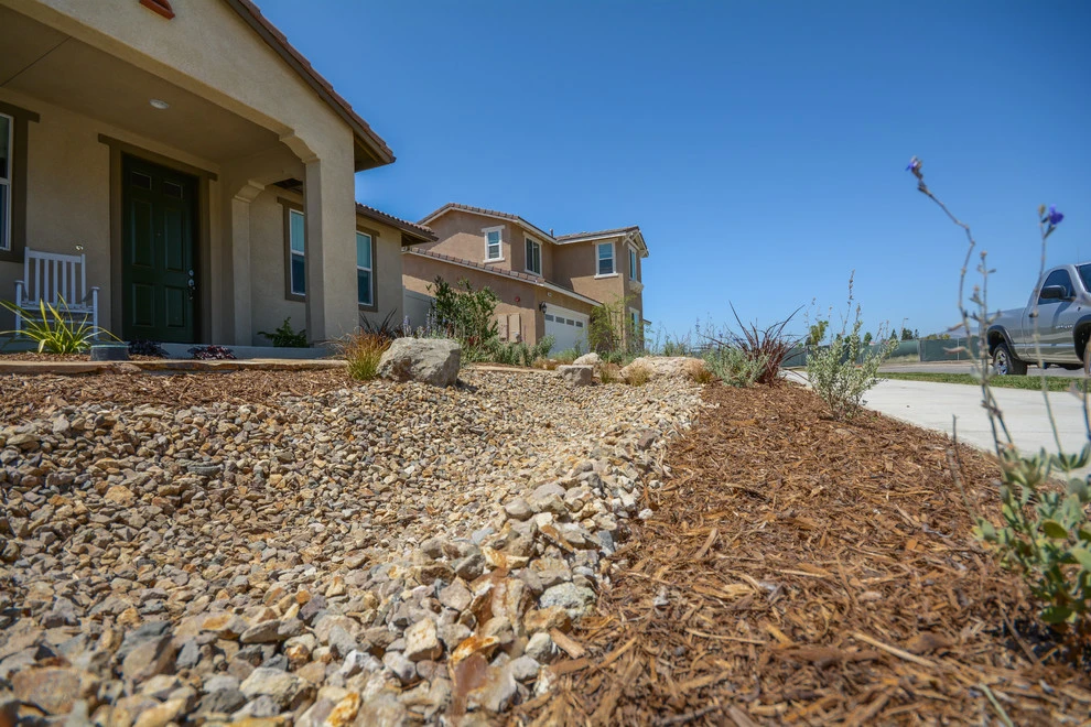 Drought Friendly in Fillmore by Scarlett's Landscape, Inc. - Photo 6