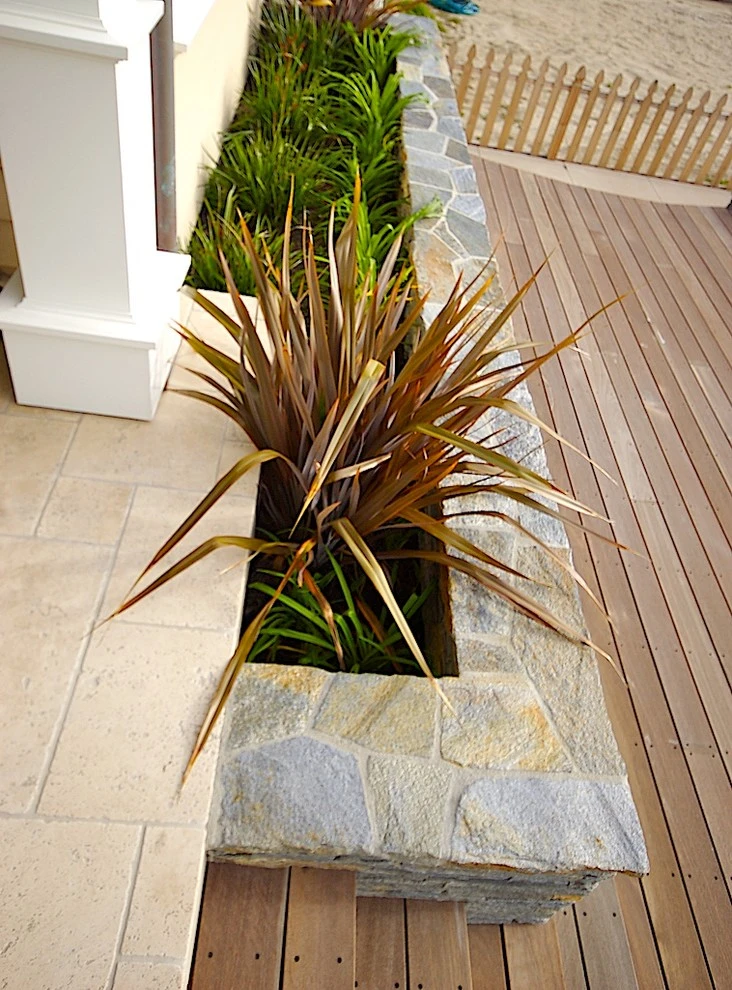 Ventura Faria Beach House by Scarlett's Landscape, Inc. - Photo 17