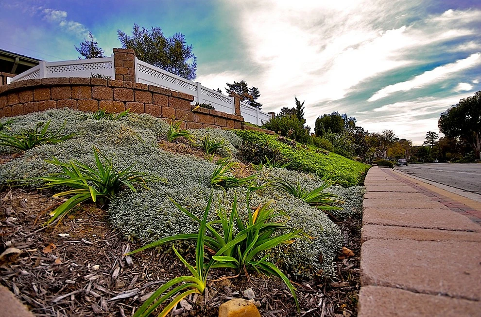 Ventura Ranch House Remodel by Scarlett's Landscape, Inc. - Photo 20