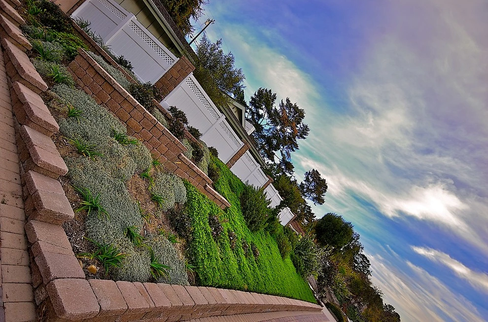 Ventura Ranch House Remodel by Scarlett's Landscape, Inc. - Photo 18