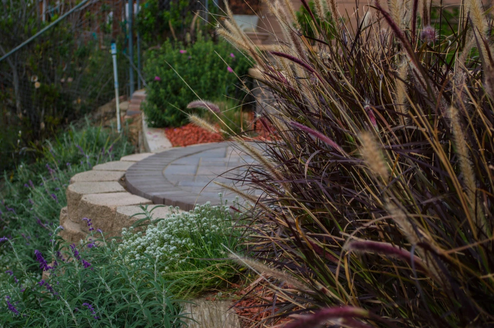 Ventura View Backyard by Scarlett's Landscape, Inc. - Photo 46