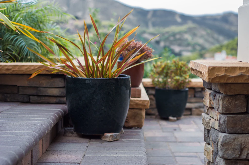 Ventura View Backyard by Scarlett's Landscape, Inc. - Photo 9