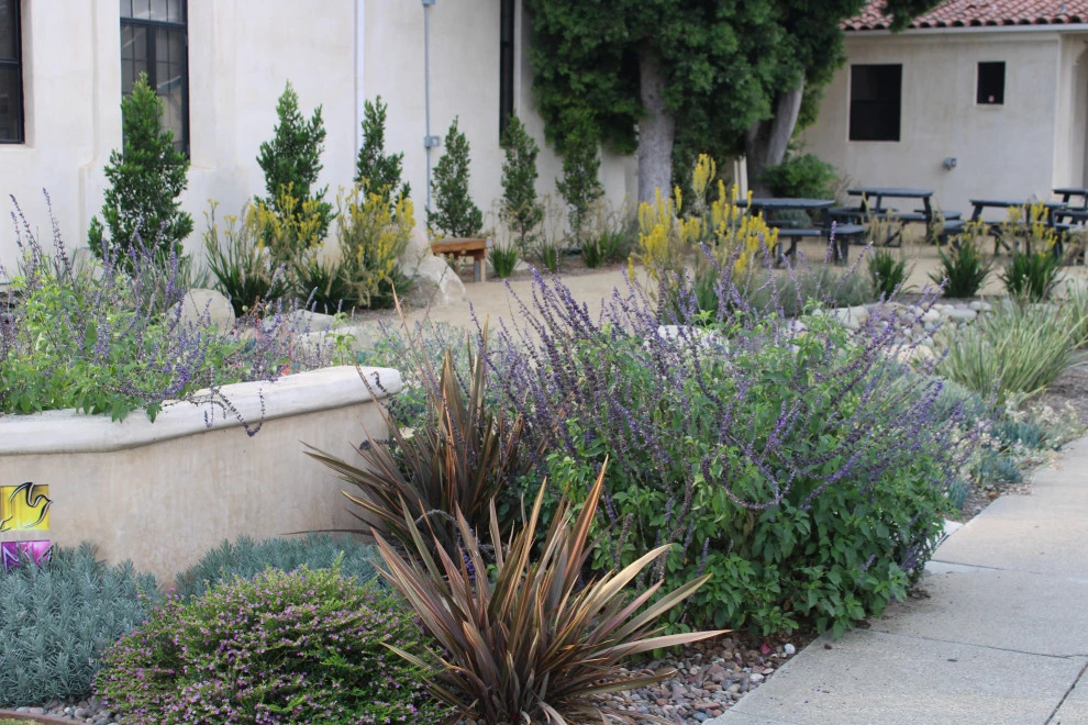 Santa Clara by Scarlett's Landscape, Inc. - Photo 3