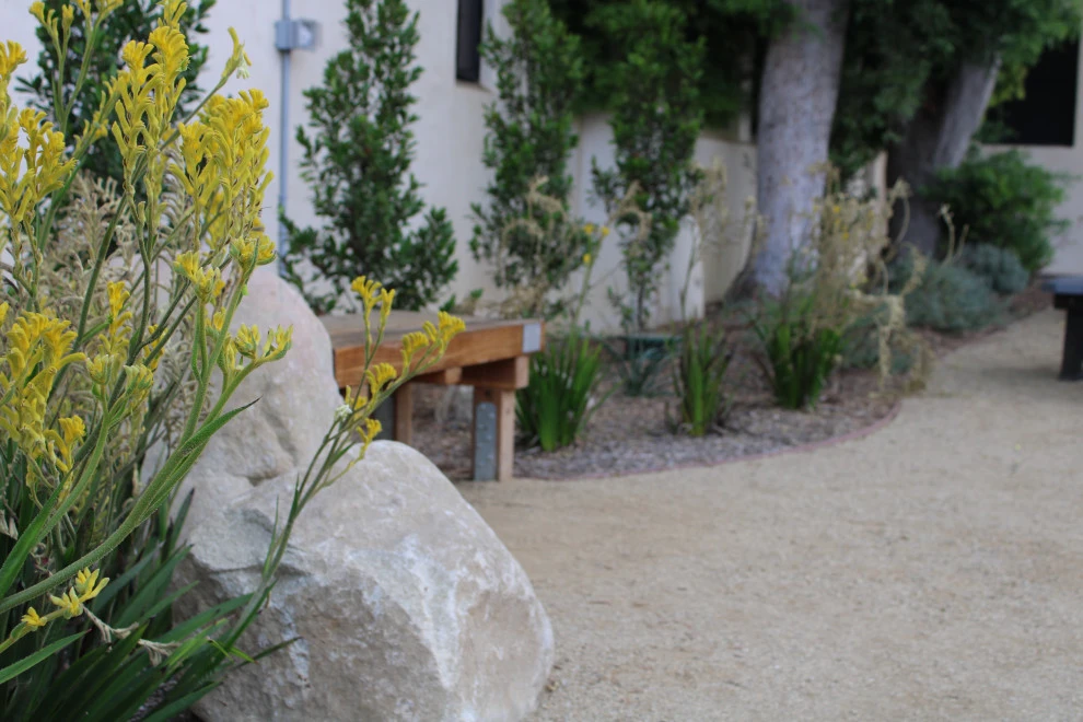 Santa Clara by Scarlett's Landscape, Inc. - Photo 4