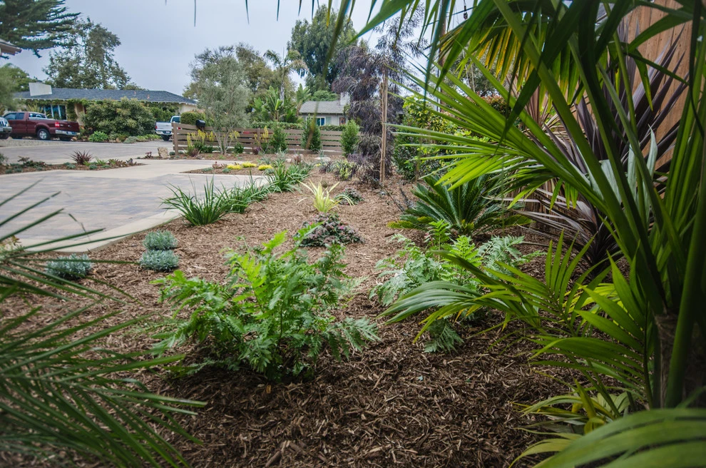 Carpinteria Modern Front Yard Upgrade by Scarlett's Landscape, Inc. - Photo 12