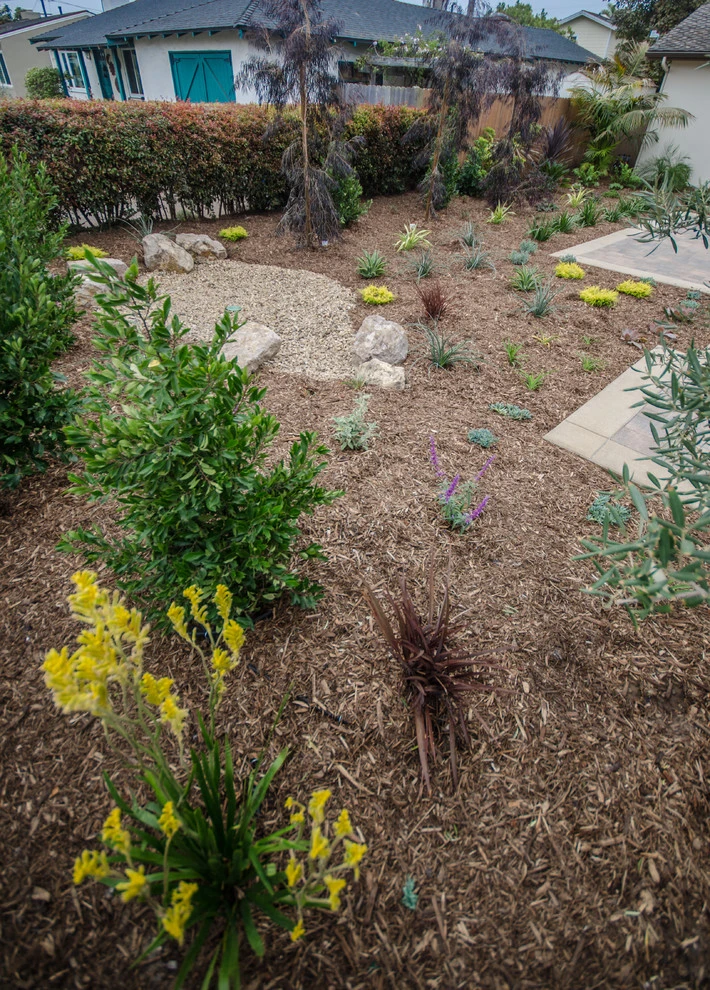 Carpinteria Modern Front Yard Upgrade by Scarlett's Landscape, Inc. - Photo 13