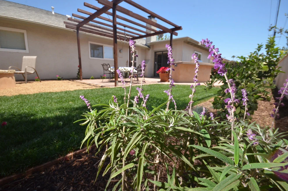 Ventura Cozy Entertaining Backyard by Scarlett's Landscape, Inc. - Photo 11