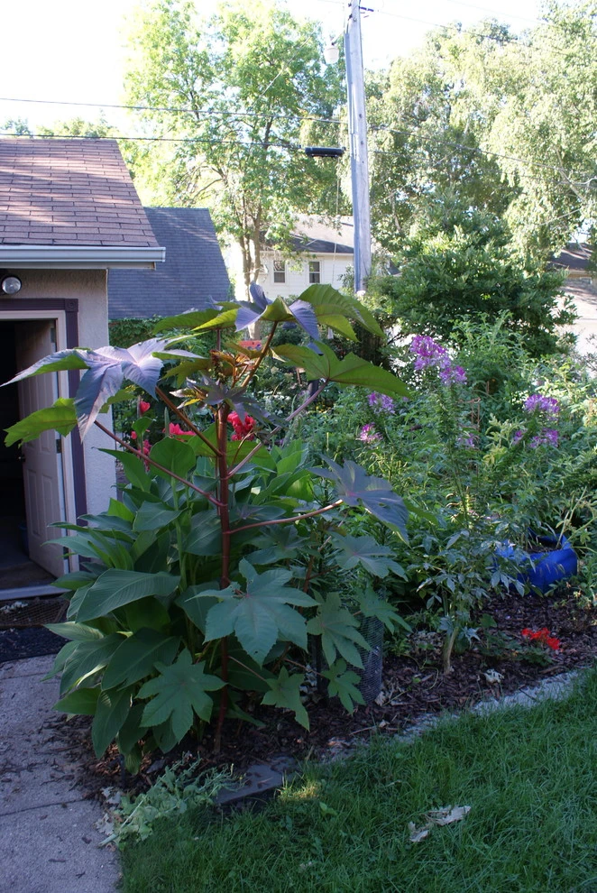 St. Paul Working Garden by Stonepocket Unique Landscapes - Photo 8