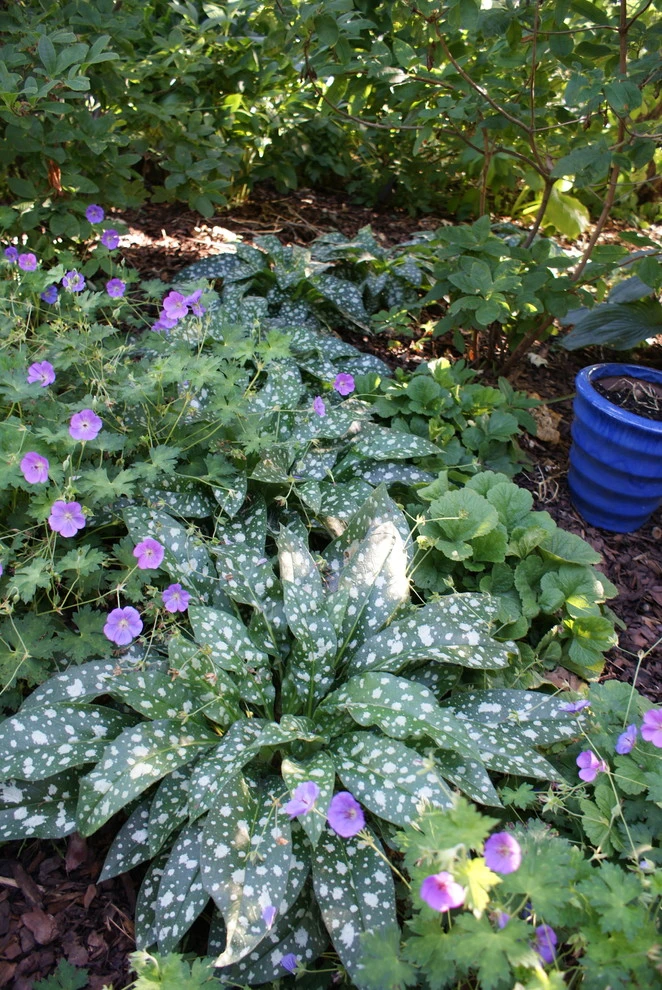 St. Paul Working Garden by Stonepocket Unique Landscapes - Photo 2