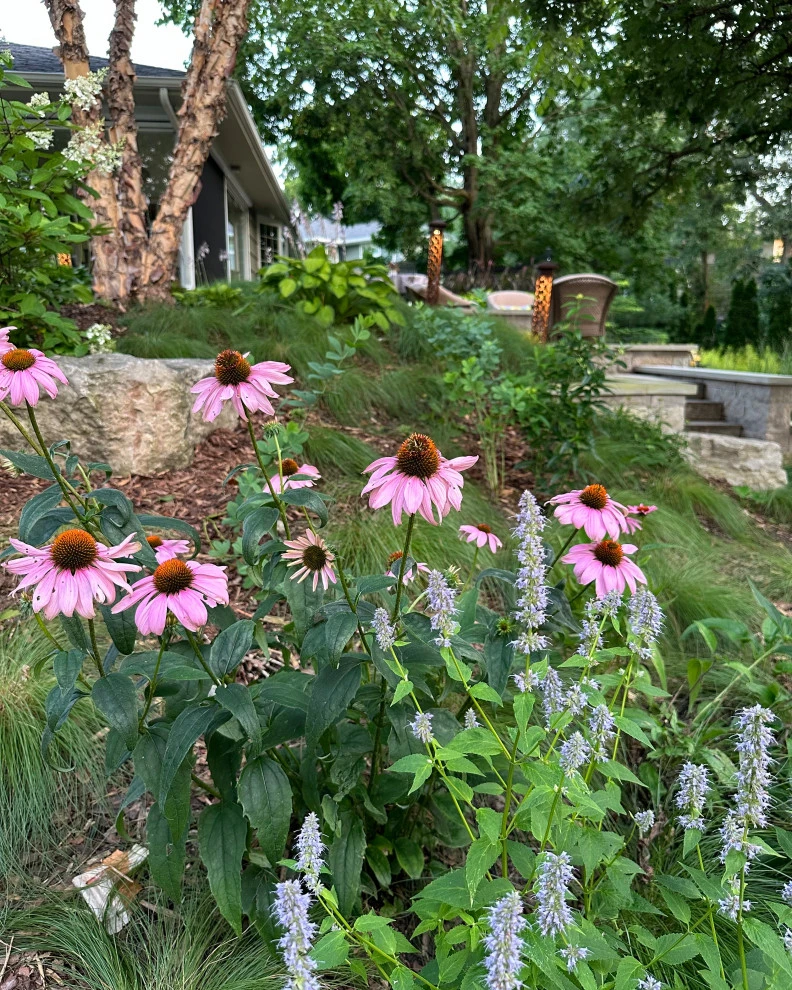 Hopkins Backyard Retreat by Stonepocket Unique Landscapes - Photo 2