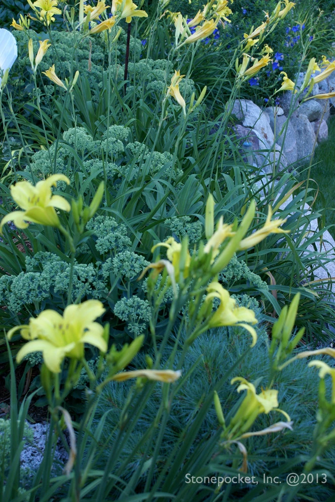 Minnetonka Poolside Gardens by Stonepocket Unique Landscapes - Photo 6