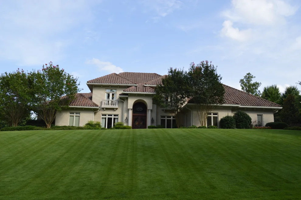 Frusterio Home Designs by Frusterio Design, Inc. - Photo 34
