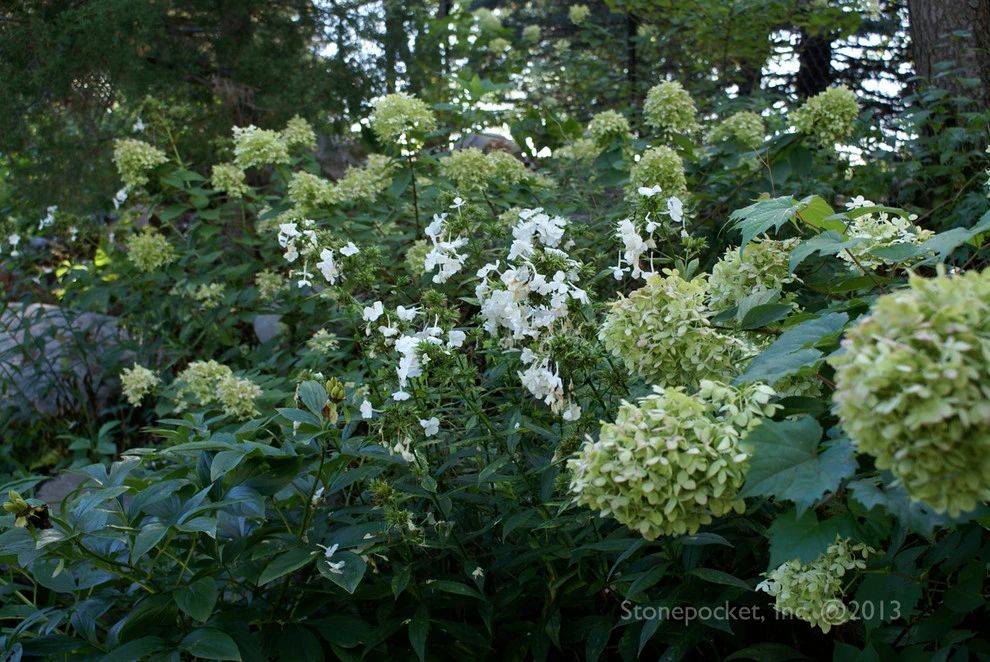 Minnetonka Poolside Gardens by Stonepocket Unique Landscapes - Photo 9