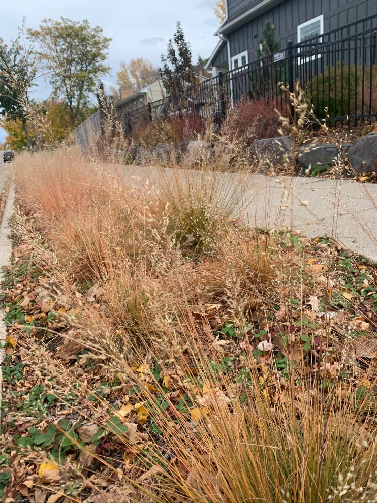 Minneapolis Functional Landscape by Stonepocket Unique Landscapes - Photo 32
