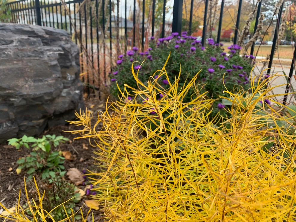 Minneapolis Functional Landscape by Stonepocket Unique Landscapes - Photo 23