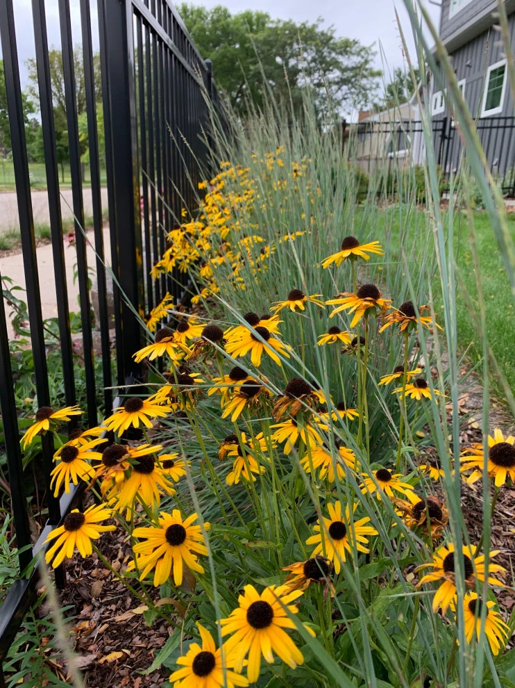 Minneapolis Functional Landscape by Stonepocket Unique Landscapes - Photo 41