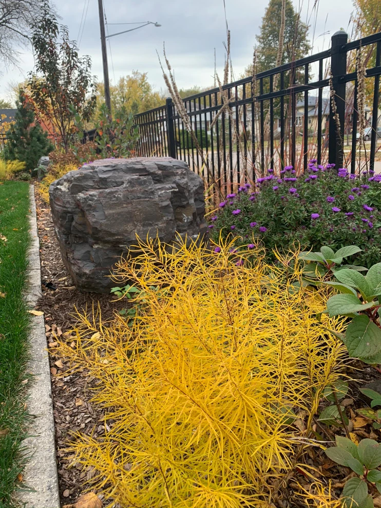 Minneapolis Functional Landscape by Stonepocket Unique Landscapes - Photo 36