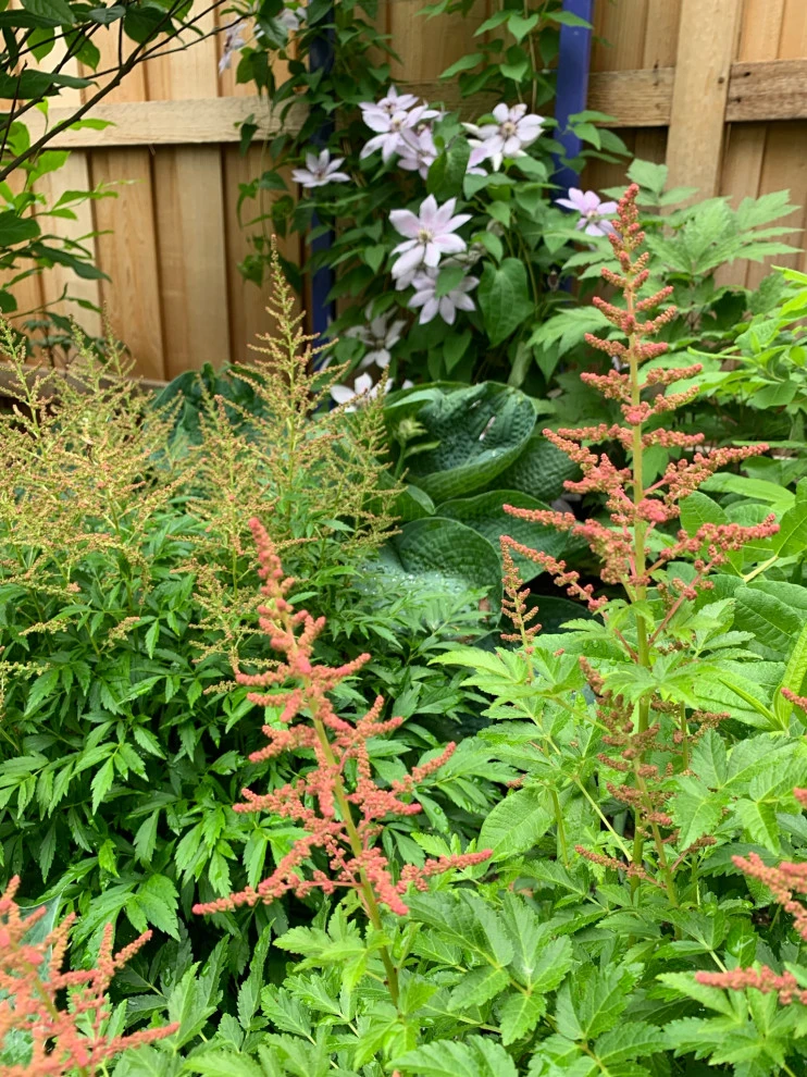 Saint Paul Tudor Garden by Stonepocket Unique Landscapes - Photo 9
