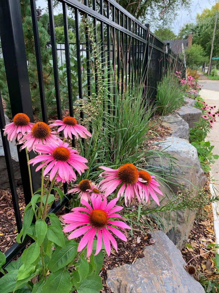 Minneapolis Functional Landscape by Stonepocket Unique Landscapes - Photo 8