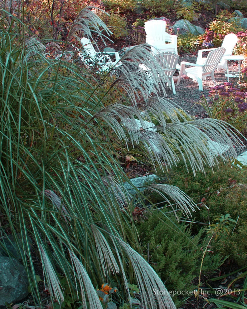 Minnetonka Poolside Gardens by Stonepocket Unique Landscapes - Photo 15