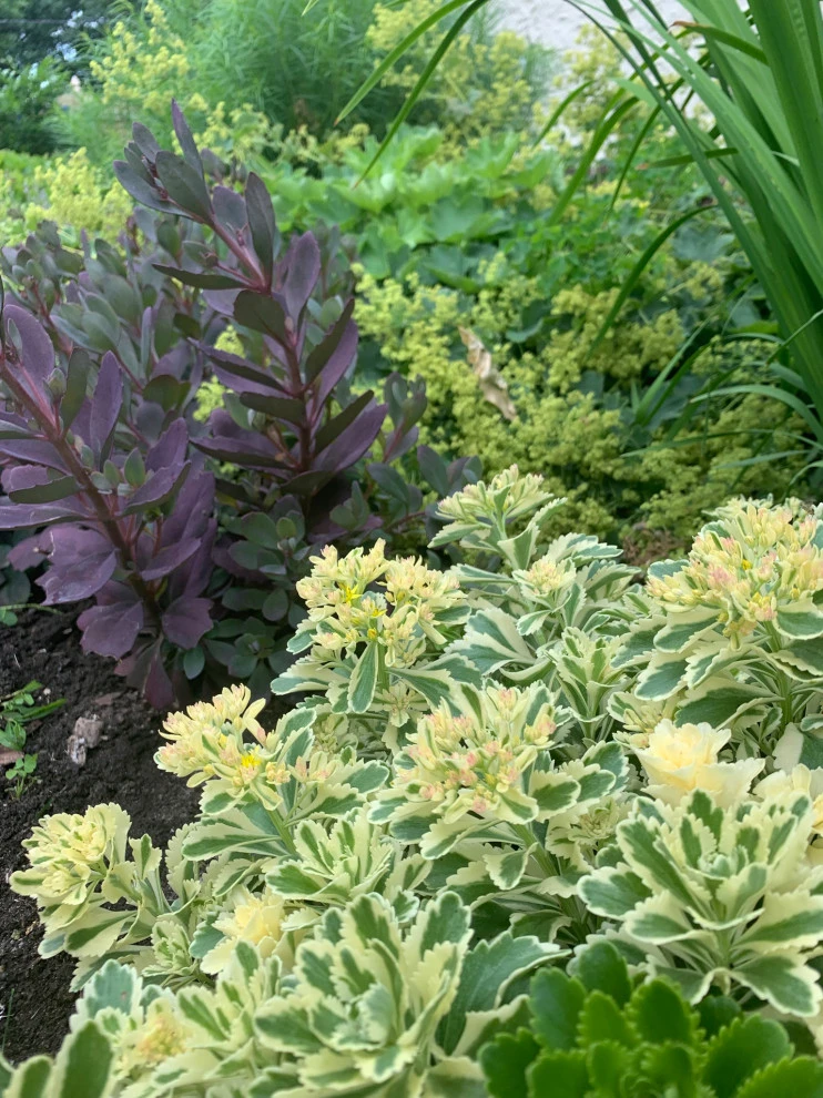Saint Paul Tudor Garden by Stonepocket Unique Landscapes - Photo 7