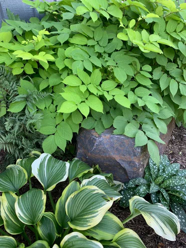 Minneapolis Functional Landscape by Stonepocket Unique Landscapes - Photo 11
