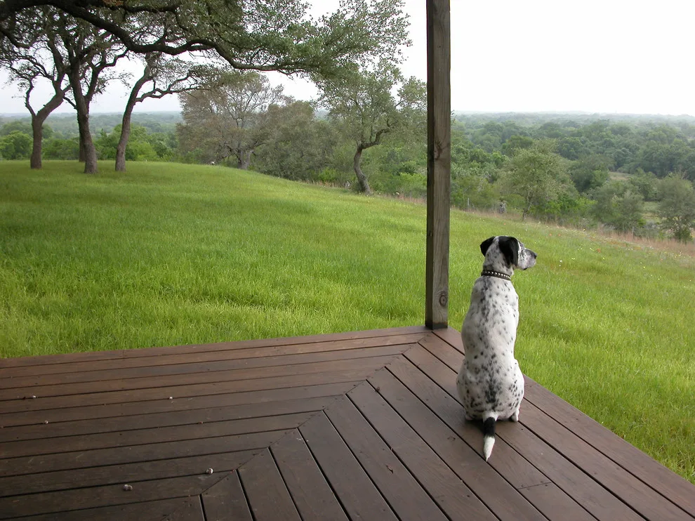 Goliad Retreat Home by Ignacio Salas-Humara Architect LLC - Photo 29
