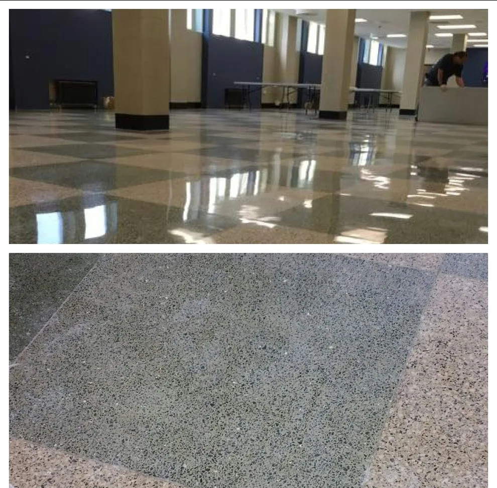 Terrazzo Flooring Restoration by Lemoncello Stone Protection & Restoration - Photo 3