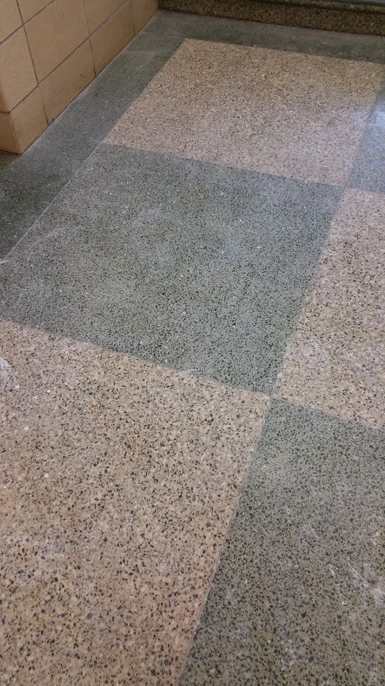 Terrazzo Flooring Restoration by Lemoncello Stone Protection & Restoration - Photo 10