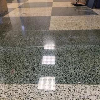 Terrazzo Flooring Restoration by Lemoncello Stone Protection & Restoration - Photo 9