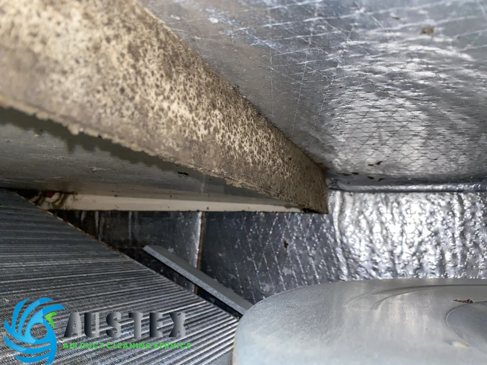 Duct Air Cleaning by AusTex Air Duct Cleaning - Photo 23