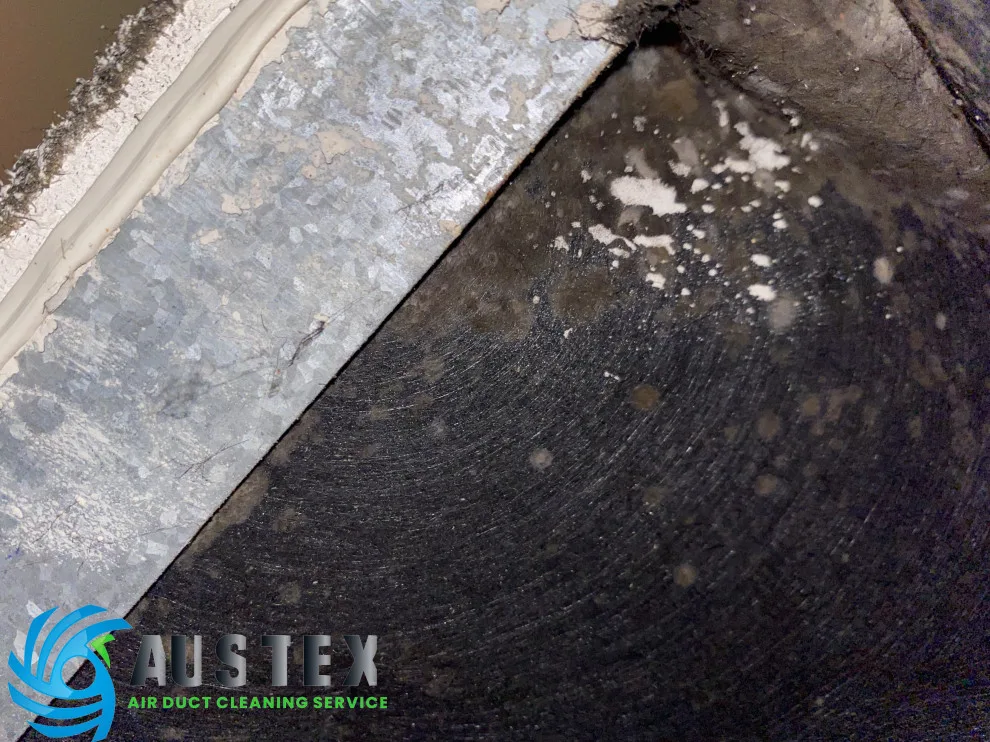 Duct Air Cleaning by AusTex Air Duct Cleaning - Photo 6