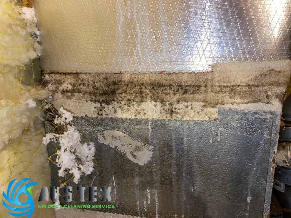 AusTex Air Duct Cleaning - Photo 2