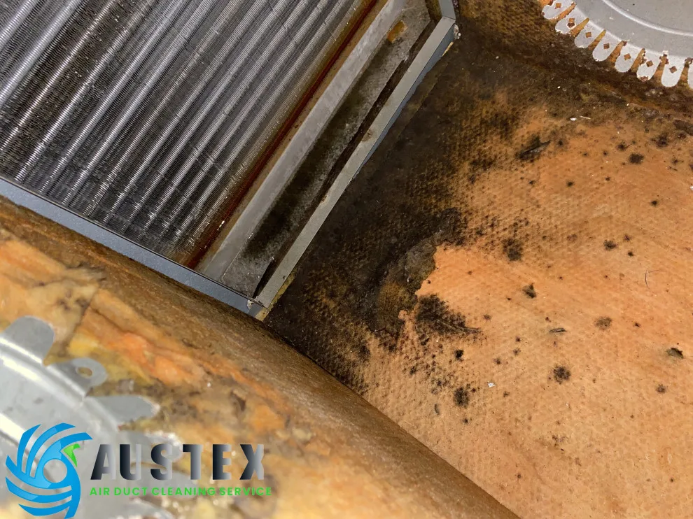 Duct Air Cleaning by AusTex Air Duct Cleaning - Photo 31