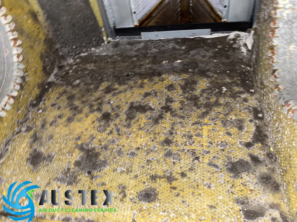 Duct Air Cleaning by AusTex Air Duct Cleaning - Photo 8