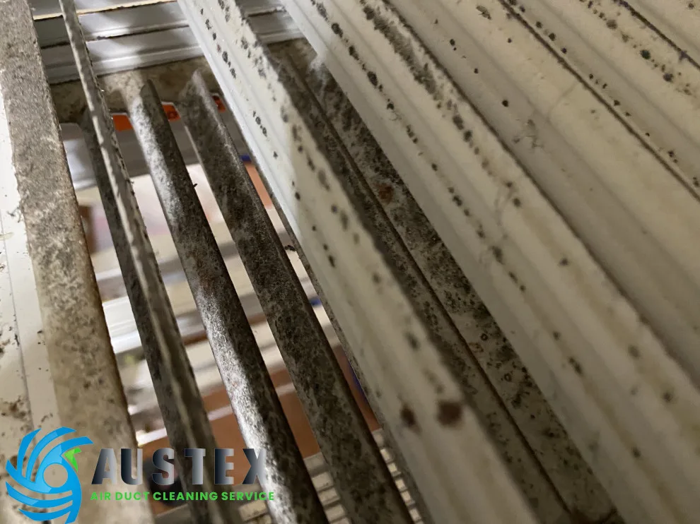Duct Air Cleaning by AusTex Air Duct Cleaning - Photo 19