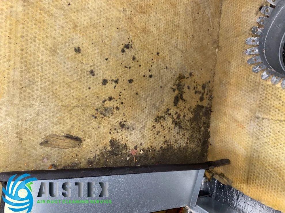 Duct Air Cleaning by AusTex Air Duct Cleaning - Photo 36