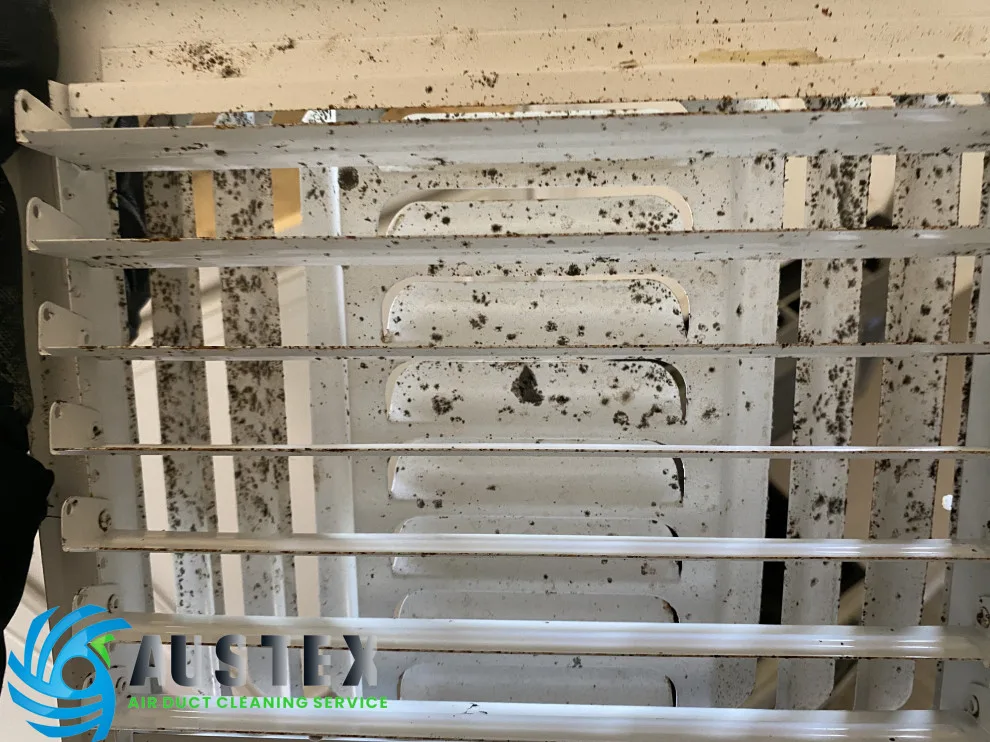 Duct Air Cleaning by AusTex Air Duct Cleaning - Photo 12