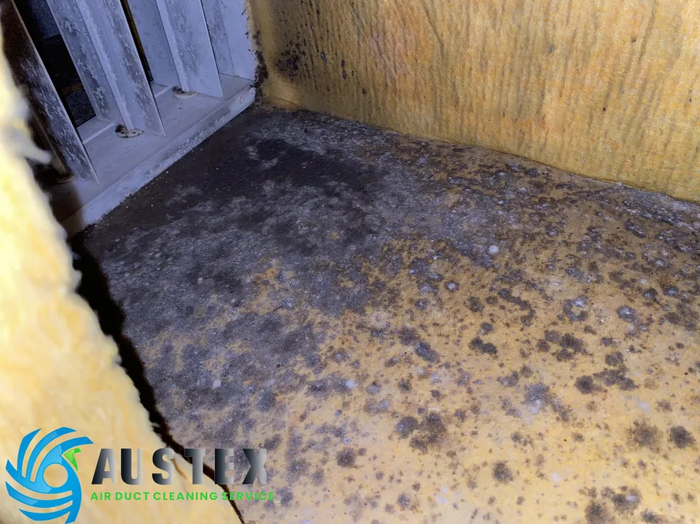 Duct Air Cleaning by AusTex Air Duct Cleaning - Photo 21