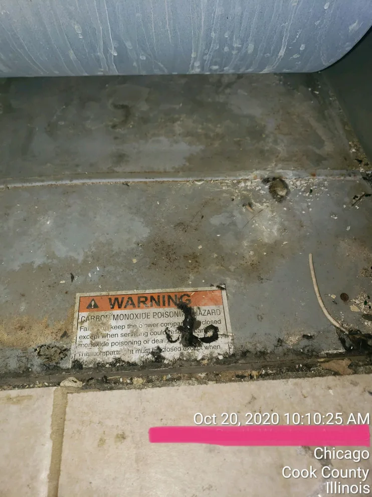 Luxe Ducts - Photo 6