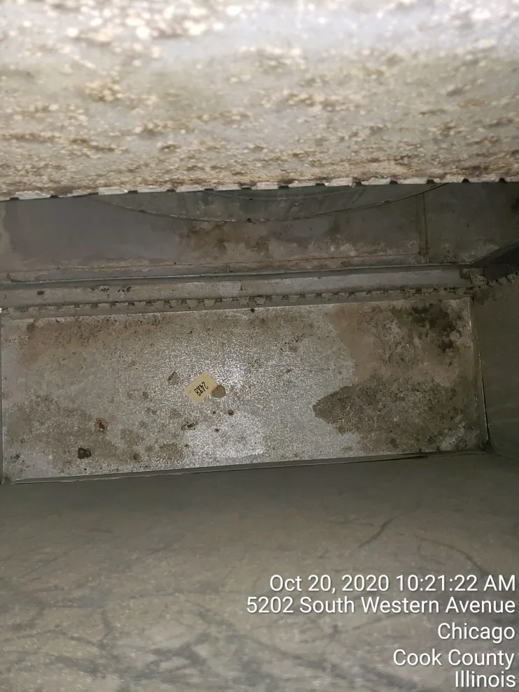 Luxe Ducts - Photo 3