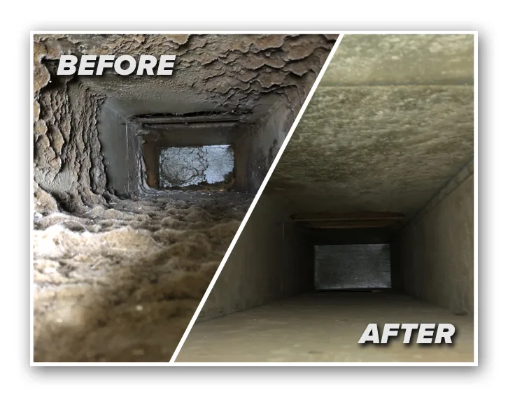 King Solomon Air Duct & Carpet Cleaning - Photo 3
