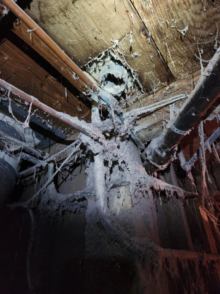 Three Decades of Inadequate Dryer Venting into Crawlspace by Dryer Vent Wizard Of Mission Viejo - Photo 4