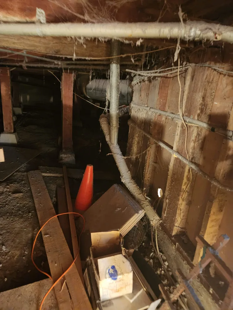 Three Decades of Inadequate Dryer Venting into Crawlspace by Dryer Vent Wizard Of Mission Viejo - Photo 3