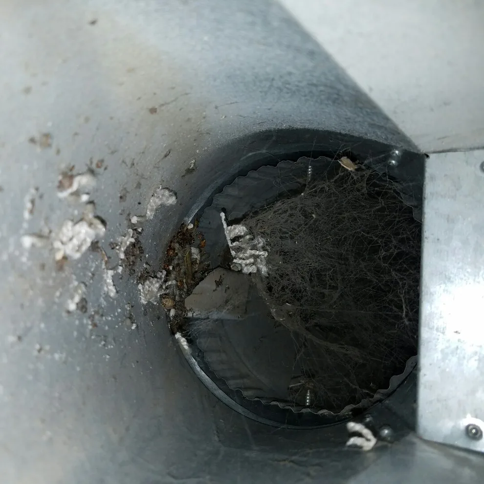 The Best Air Quality And Restoration - Photo 4