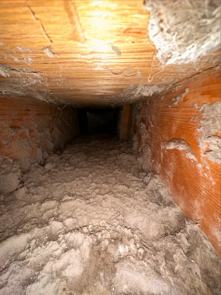 Vent Revive - Photo 6