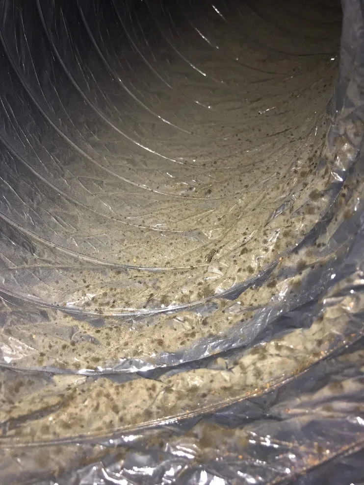 Boston Air Ducts Cleaning - Photo 6