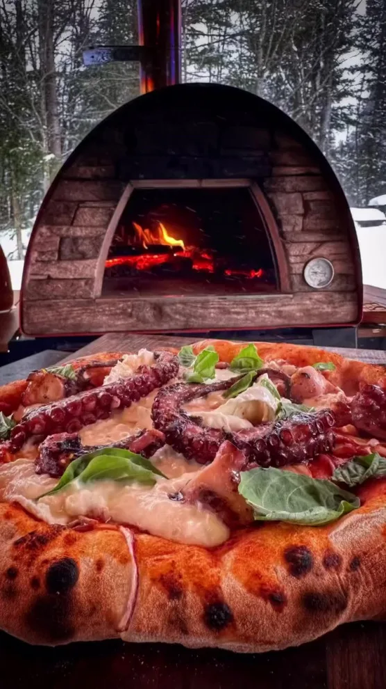 Culinary Creations by Authentic Pizza Ovens - Photo 12