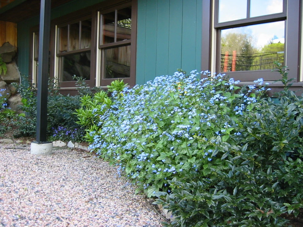Rustic Cottage by Vertumni Fine Landscaping - Photo 3